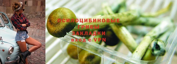 круглые Алексеевка