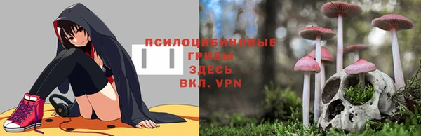 прущие крисы Алзамай